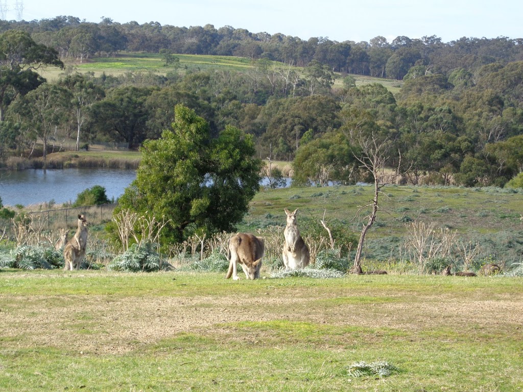 Plenty Gorge Park | park | 25 Linacre Dr, Bundoora VIC 3083, Australia