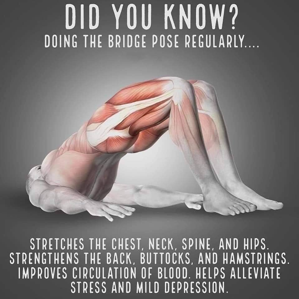MOBO Massage | 2 Railway Ave, Ringwood East VIC 3134, Australia | Phone: 0405 171 266