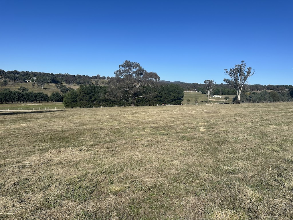 Willowtree Stables | 1659 Mutton Falls Rd, OConnell NSW 2795, Australia | Phone: 0410 531 798