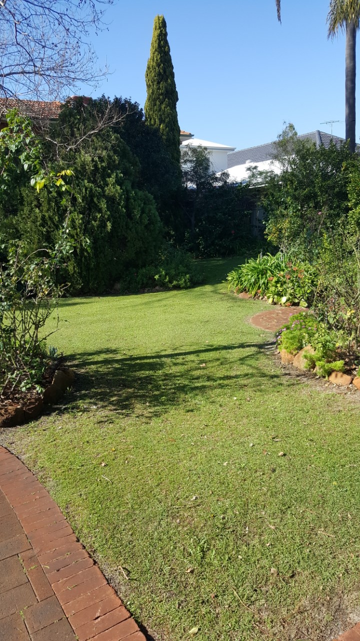 Perth Lawn Maintenance |  | 69 Marlinspike Bvd, Jindalee WA 6036, Australia | 0432222057 OR +61 432 222 057