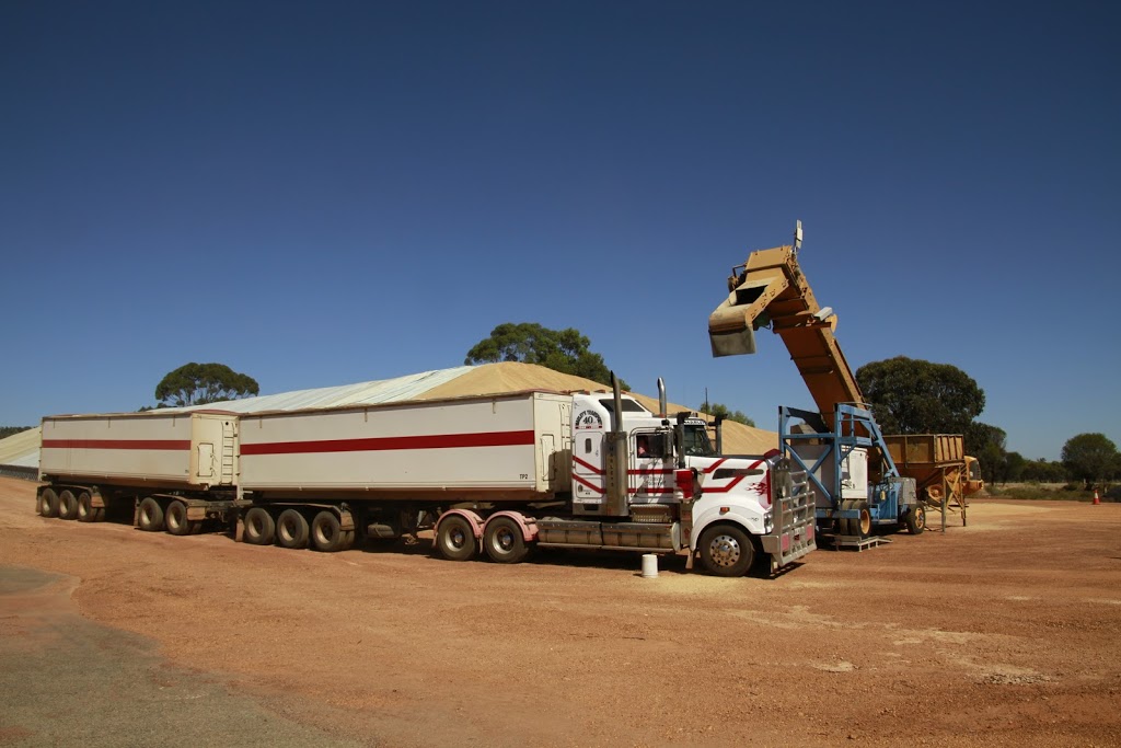 Marleys Transport | 37 Armstrong Rd, Hope Valley WA 6165, Australia | Phone: (08) 9410 4600