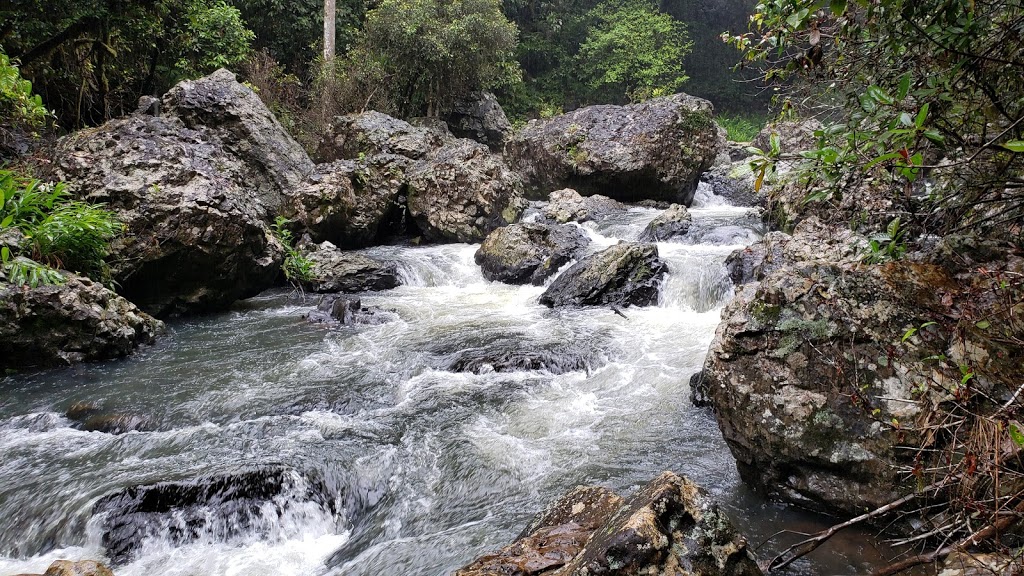 Zillie Falls, Qld | Wooroonooran QLD 4886, Australia | Phone: (07) 4091 4222