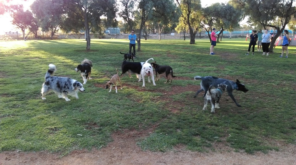 Renmark Dog Park | 11/19 Cook St, Renmark SA 5341, Australia