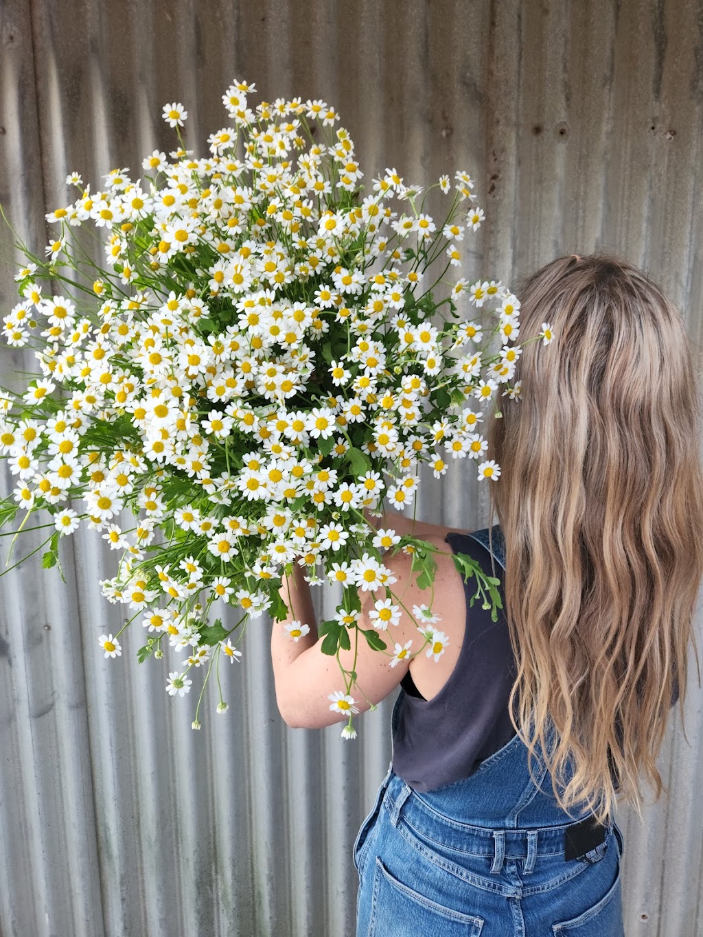 Pikt Roadside Stall | florist | 263 Myocum Rd, Ewingsdale NSW 2481, Australia | 0478544106 OR +61 478 544 106
