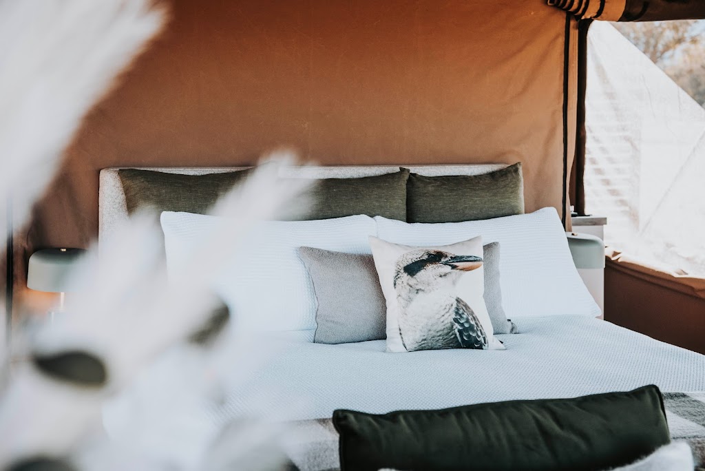 Wildnest Farmstay | 1800 Glen Davis Rd, Glen Davis NSW 2846, Australia | Phone: 0401 825 855