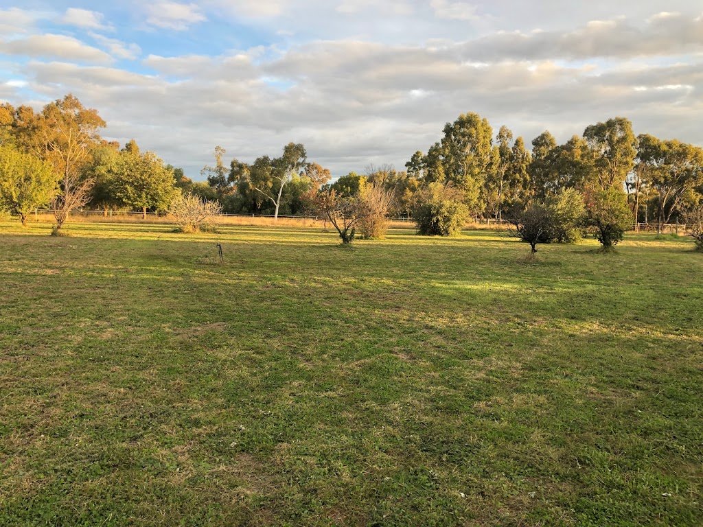 Louis Lawn and Garden Care | 11R Wilfred Smith Dr, Dubbo NSW 2830, Australia | Phone: 0428 895 083