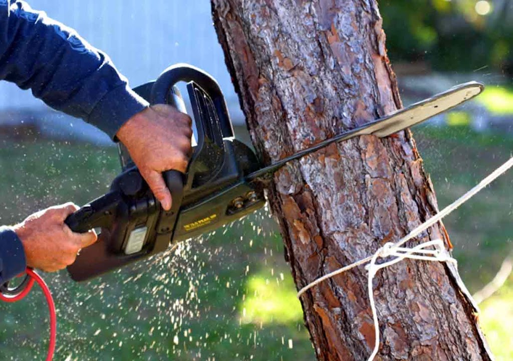 The Tree Services Moggill | 3366 Moggill Rd, Moggill QLD 4070, Australia | Phone: (07) 3608 1855