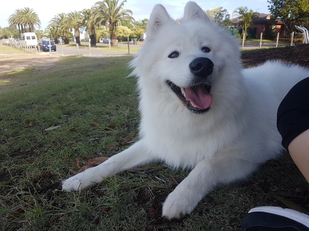 Carrington Dog Off-Leash Area | park | 1A Young St, Carrington NSW 2294, Australia
