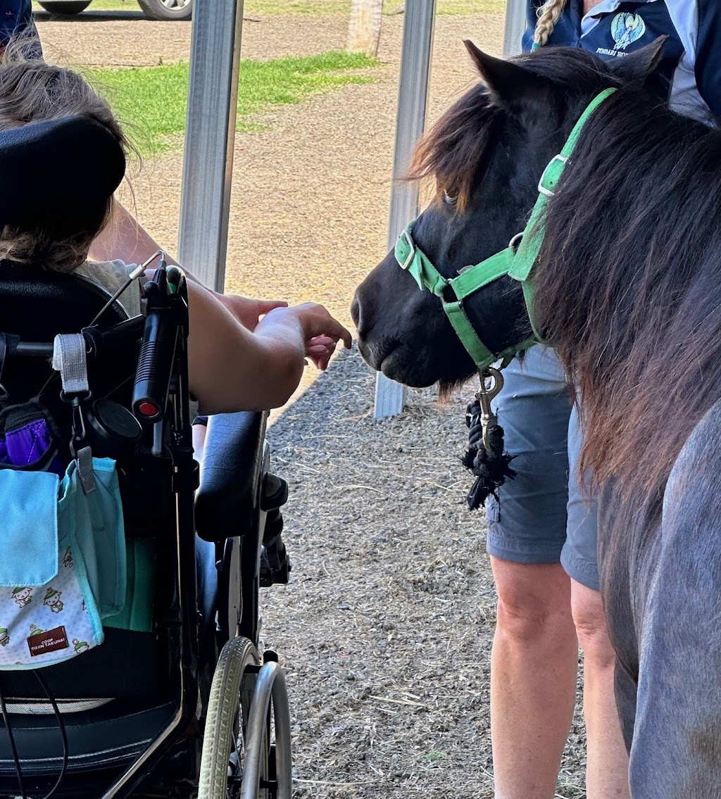 Pindari Equine Assisted Therapy and Counselling | 392 Prenzlau Rd, Prenzlau QLD 4311, Australia | Phone: 0422 140 378