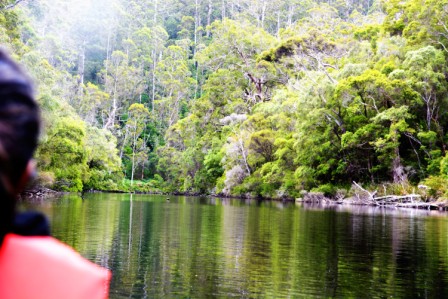Pemberton Hiking & Canoeing | travel agency | Pemberton WA 6260, Australia | 0897761559 OR +61 8 9776 1559