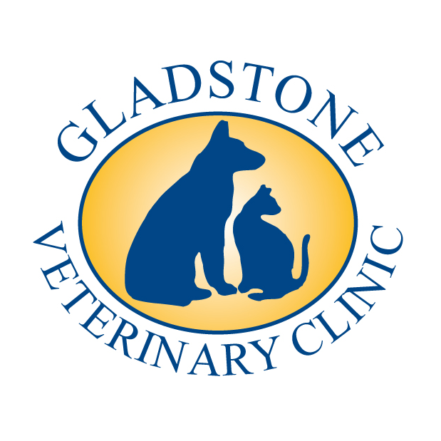 Gladstone Veterinary Clinic | veterinary care | 60 Philip St, Sun Valley QLD 4680, Australia | 0749793444 OR +61 7 4979 3444