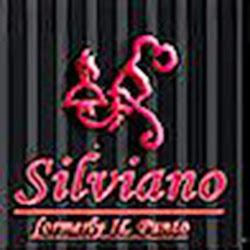 Silviano Pizzeria | meal delivery | 472/486 Waverley Rd, Malvern East VIC 3145, Australia | 0395723711 OR +61 3 9572 3711