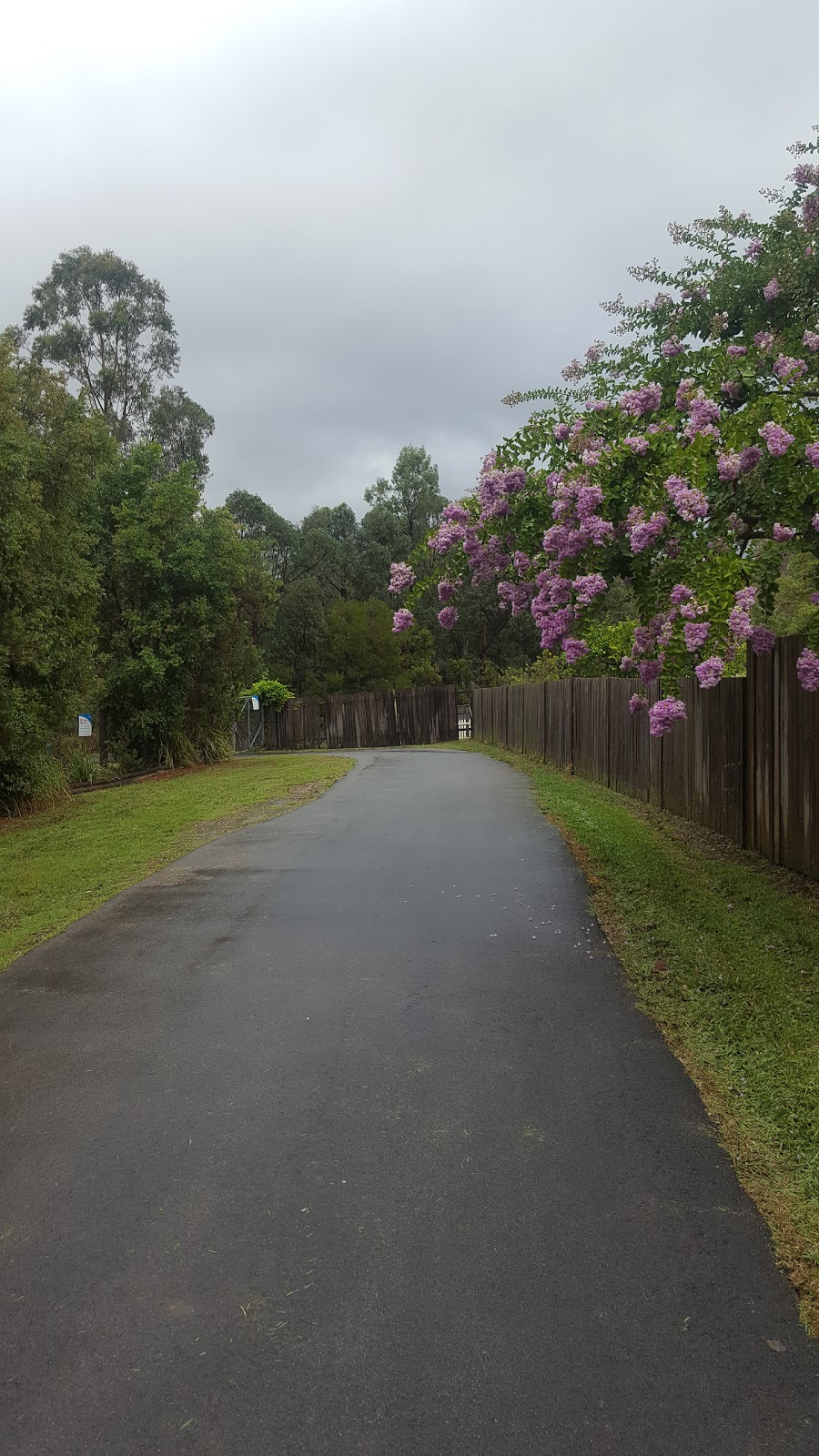 Burlington Memorial Park | park | 23 Boundary Rd, Northmead NSW 2152, Australia