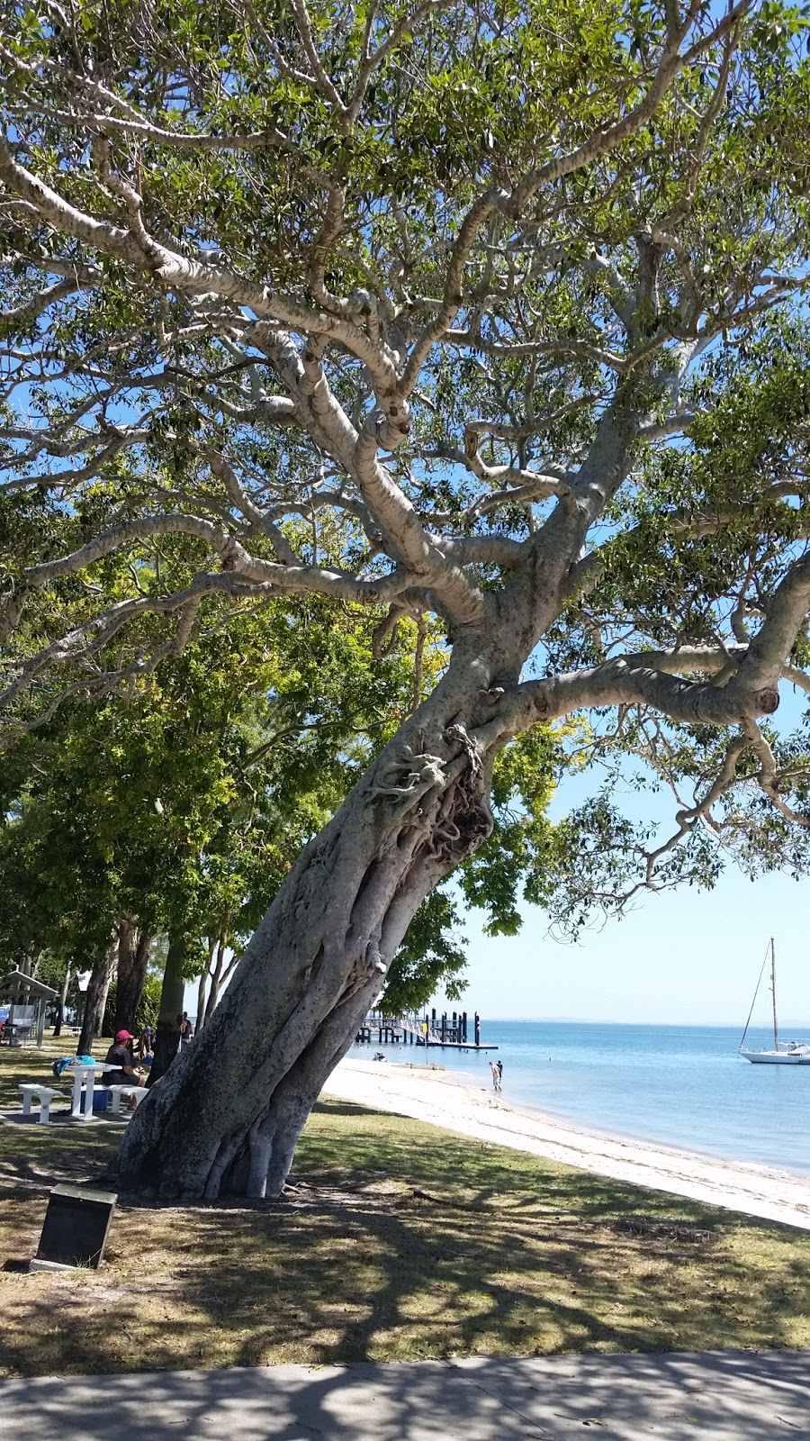 Bribie Island Bowls Club | restaurant | 23/11 Welsby Parade, Bongaree QLD 4507, Australia | 0734081018 OR +61 7 3408 1018