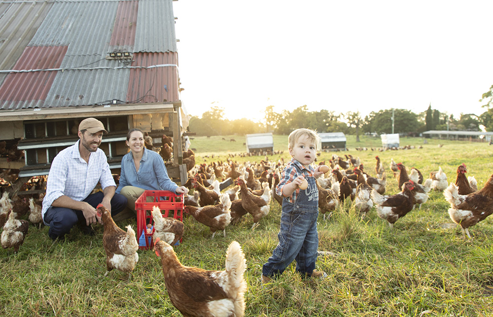 Honey Atkinson Photographer & Film Maker | Warrigal Range Rd, Brogo NSW 2550, Australia | Phone: 0410 555 776