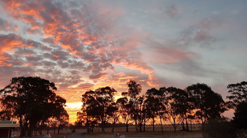 Tocumwal Airport | airport | Tocumwal NSW 2714, Australia