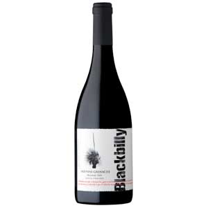 Nick Haselgrove Wines | 13 Blewitt Springs Rd, McLaren Flat SA 5171, Australia | Phone: 0419 383 907