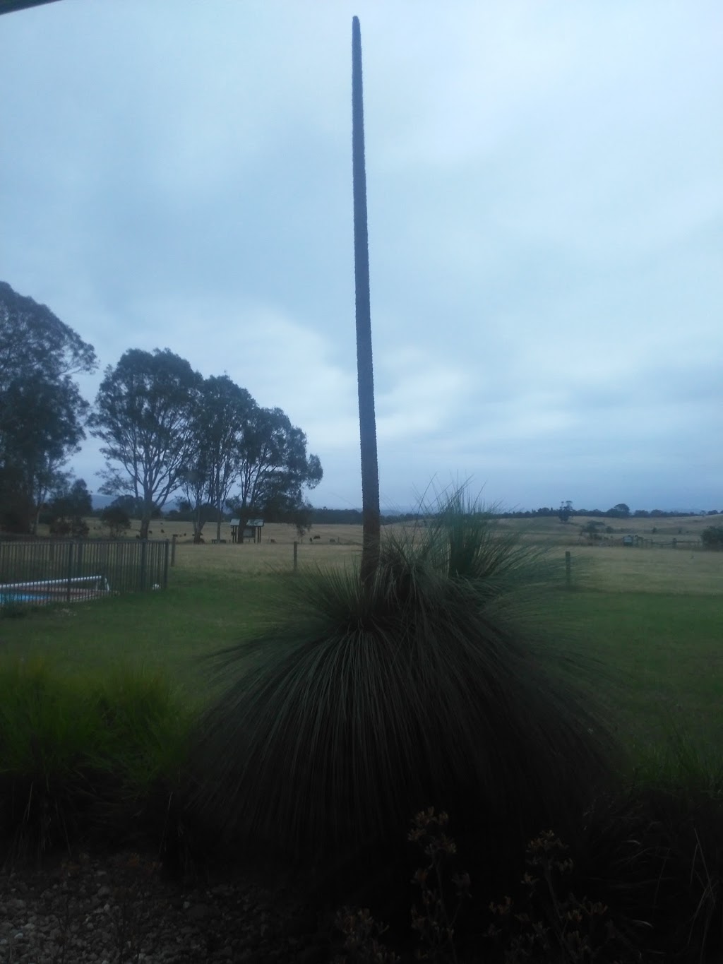 Bellbird Corner Riverside Reserve | park | Sandy Creek Rd, Maffra VIC 3860, Australia