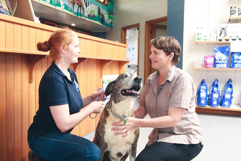 Tableland Veterinary Service - Malanda | veterinary care | 159 Malanda Atherton Rd, Malanda QLD 4885, Australia | 0740967500 OR +61 7 4096 7500
