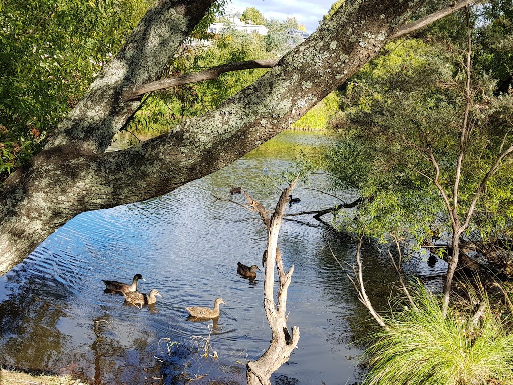 Deloraine Riverbank Reserve | park | Deloraine TAS 7304, Australia