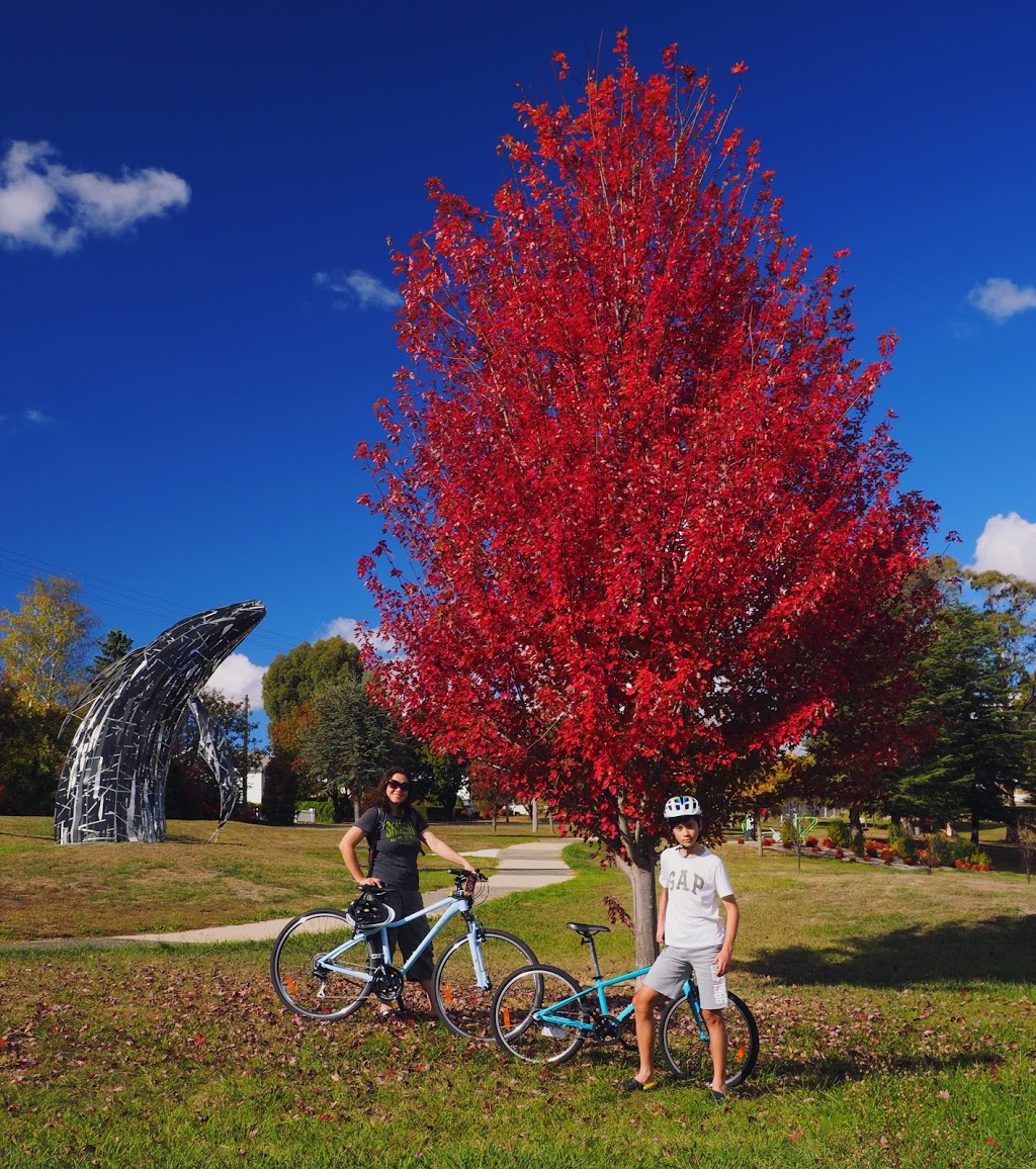 Walcha Visitor Information Centre | 29w Fitzroy St, Walcha NSW 2354, Australia | Phone: (02) 6774 2460