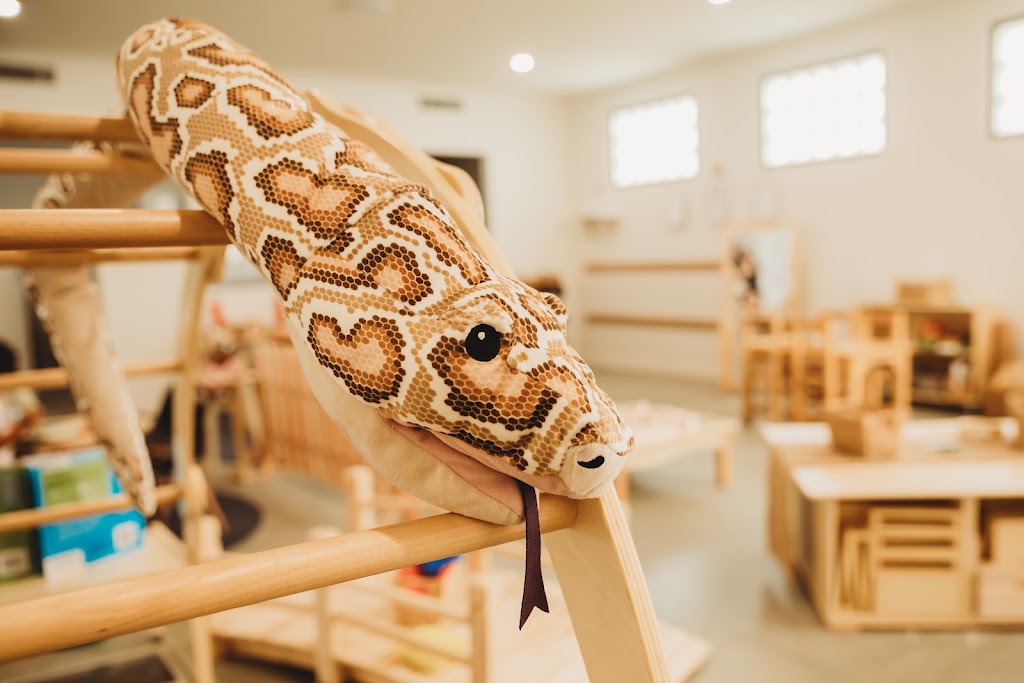 Capers Early Learning Scarborough | 607 Oxley Ave, Scarborough QLD 4020, Australia | Phone: (07) 3203 4121