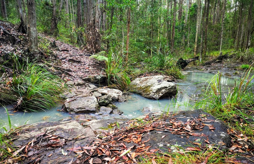 Parklands Conservation Park | Parklands QLD 4560, Australia