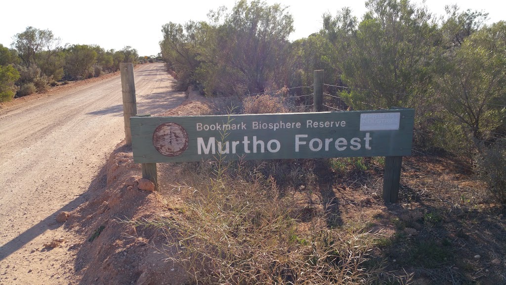 Murtho Forest Reserve | park | Murtho SA 5340, Australia