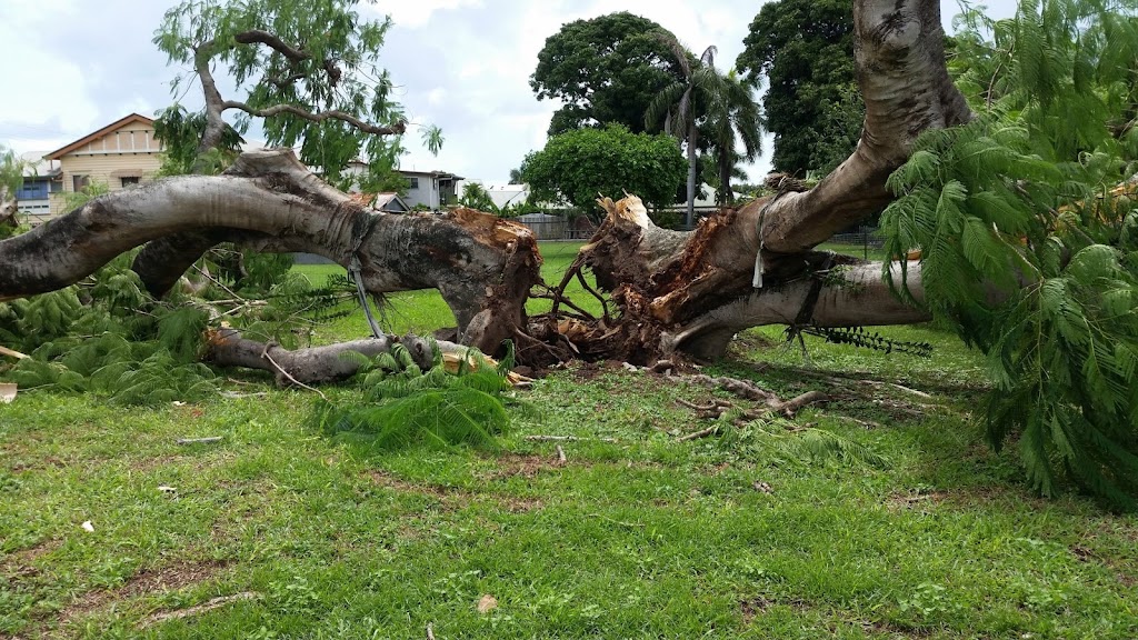 Wades Tree Service | 468 MacKay Habana Rd, Nindaroo QLD 4740, Australia | Phone: (07) 4942 8770
