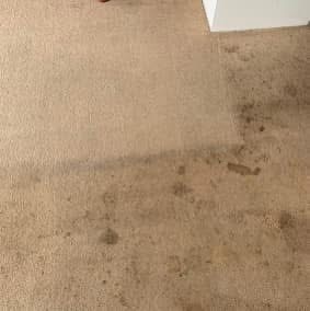 Warragul Carpet Cleaning | 26 Cross St, Trafalgar VIC 3824, Australia | Phone: 0493 007 020