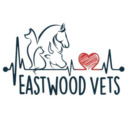 Eastwood Vets | veterinary care | 26 Howitt Ave, Bairnsdale VIC 3875, Australia | 0351524152 OR +61 3 5152 4152