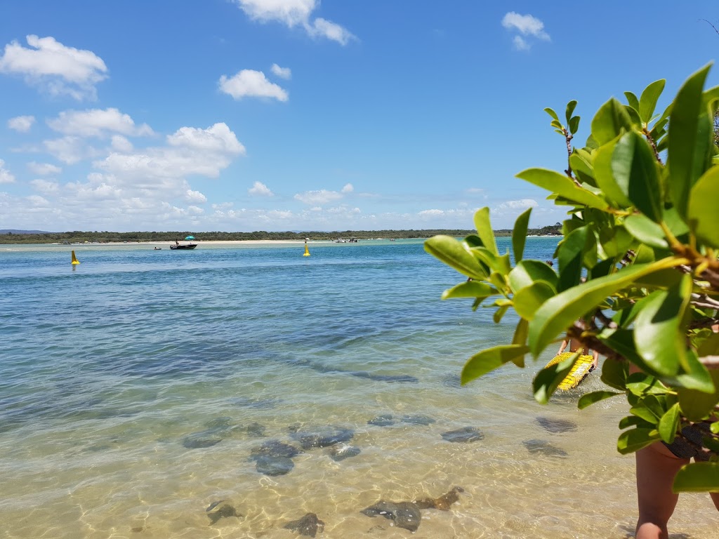 Dog Beach | park | Noosa Botanic Gardens, Claude Batten Dr, Noosa Heads QLD 4567, Australia | 0753296500 OR +61 7 5329 6500