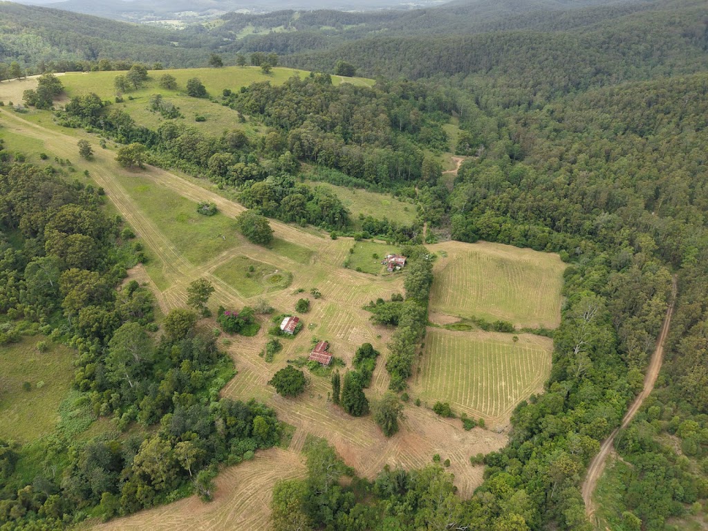 Atkinson Slashing | 12 Little St, Wingham NSW 2429, Australia | Phone: 0493 597 629