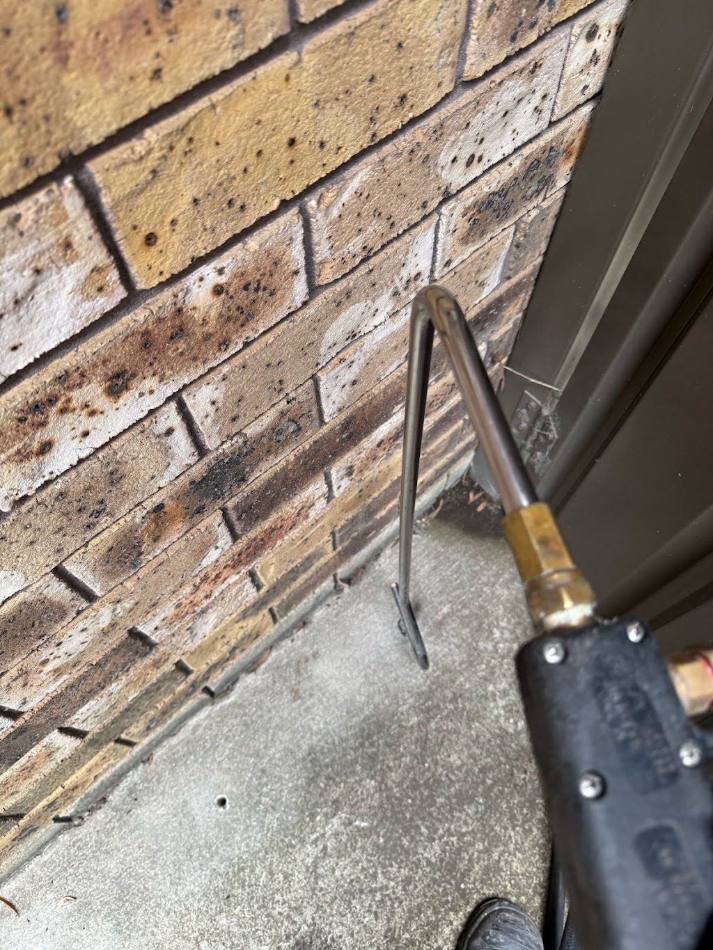 Get Rid of Pests | 6A Worrikul Ave, Fletcher NSW 2287, Australia | Phone: 0420 673 000