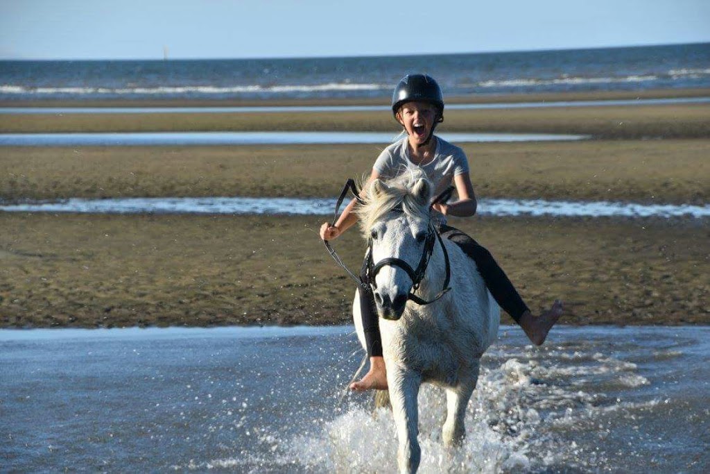 Ethereal Equestrian |  | 1538 MT Cotton Rd, Burbank QLD 4156, Australia | 0434570330 OR +61 434 570 330