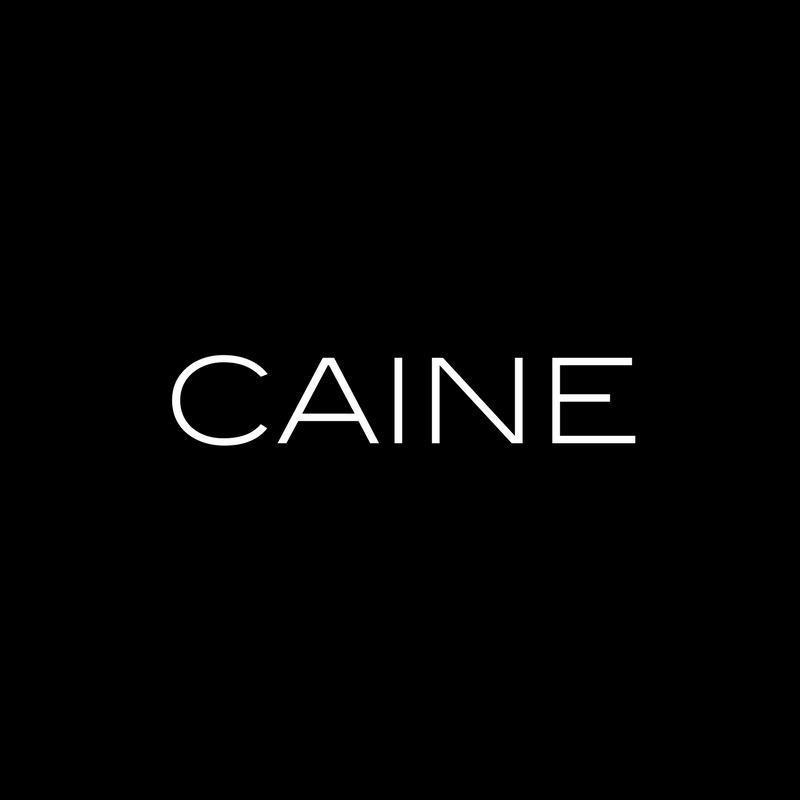 Caine Real Estate | 1165 Burke Rd, Kew VIC 3101, Australia | Phone: (03) 8413 8000