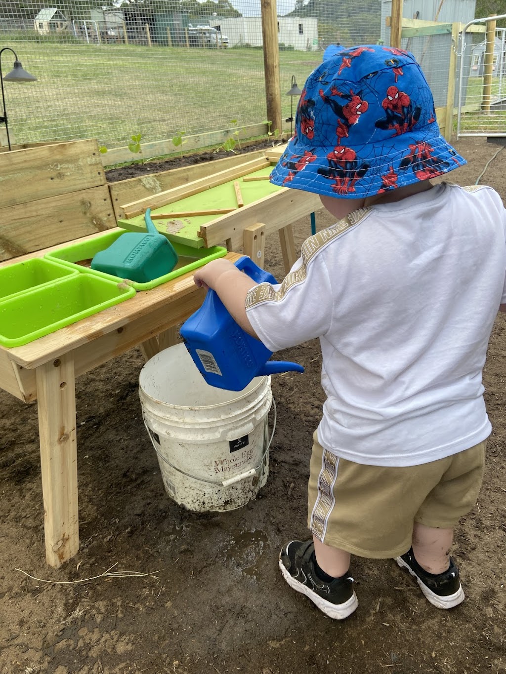 Calm The Farm Albion Park | 83 East West Link, Croom NSW 2527, Australia | Phone: 0402 241 933