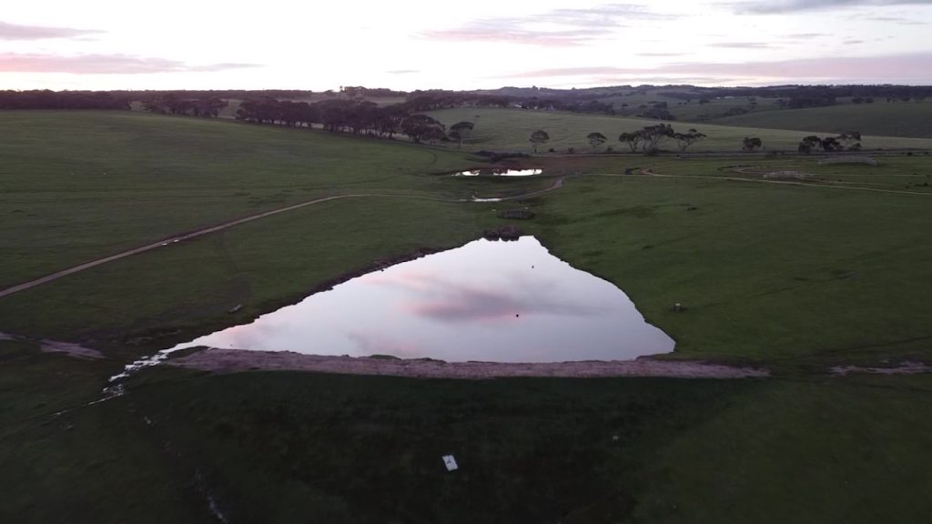 Waitpinga Farm Quad Bike Adventures | 1161 Waitpinga Rd, Waitpinga SA 5211, Australia | Phone: (08) 8552 3558