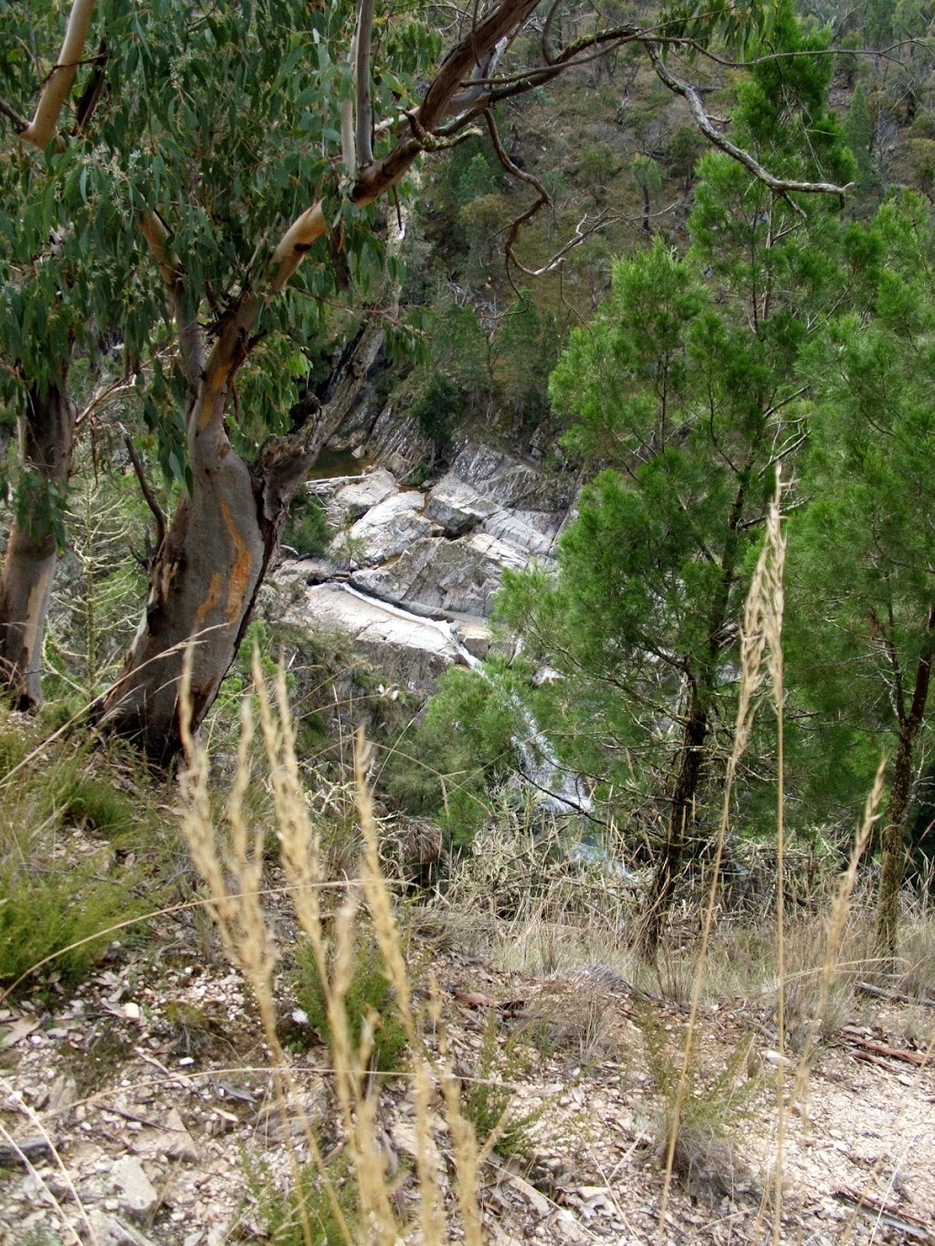 Grove Creek Falls | park | Abercrombie River NSW 2795, Australia | 0263688603 OR +61 2 6368 8603