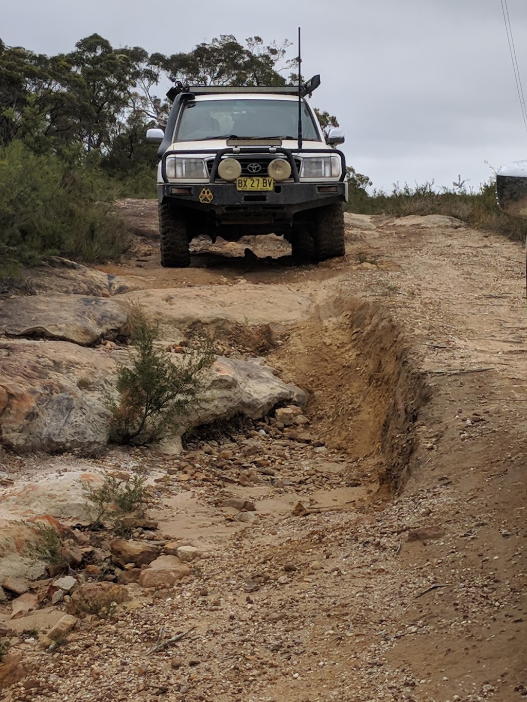 Colymea State Conservation Area | park | Barringella NSW 2540, Australia