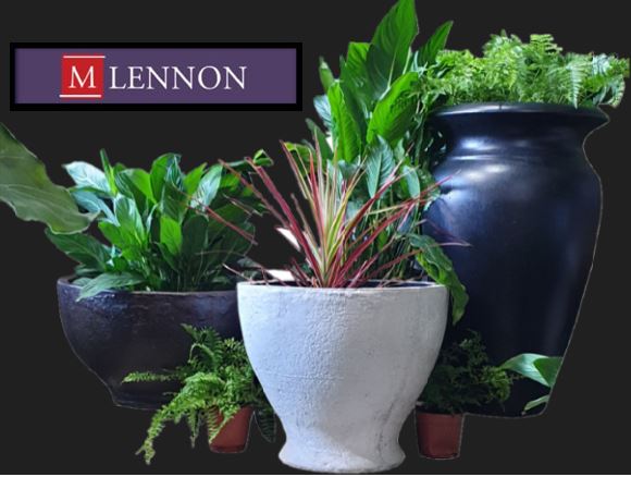 Mlennon Pty Ltd | 20 Durobby Dr, Currumbin Valley QLD 4223, Australia | Phone: 0411 336 603