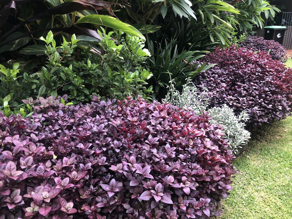 Tranquil Gardens Group | 256 Barrenjoey Rd, Newport NSW 2106, Australia | Phone: 0422 567 040