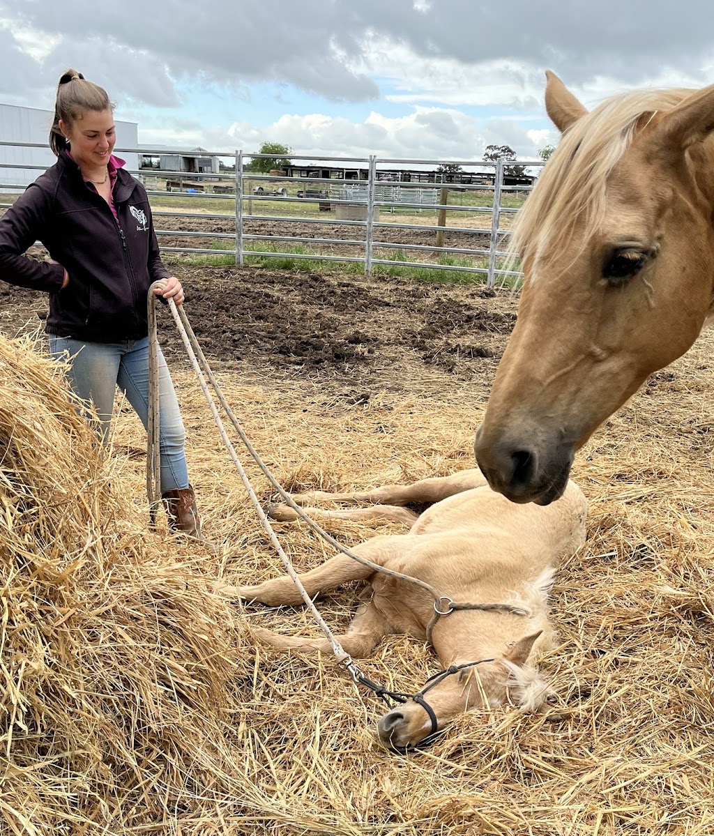 Intrinsic Equine | Everard Rd, Kyabram VIC 3620, Australia | Phone: 0447 431 584
