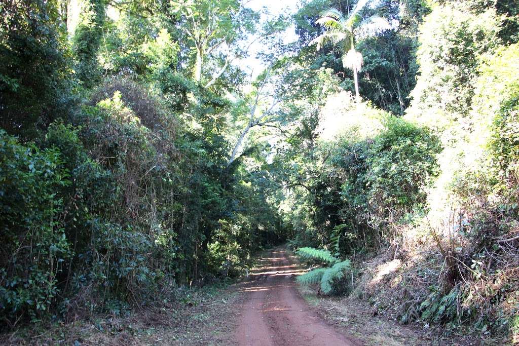 Gumbaynggirr National Park | Killiekrankie NSW 2449, Australia