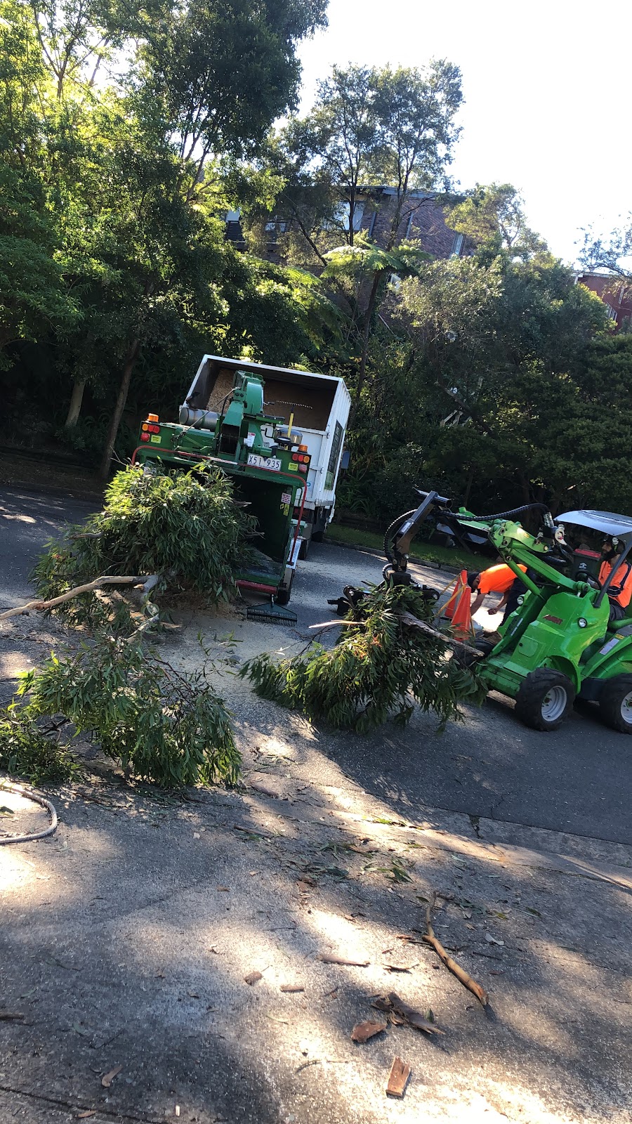 Nsw tree works | 261 Auburn Rd, Auburn NSW 2144, Australia | Phone: 0405 030 770