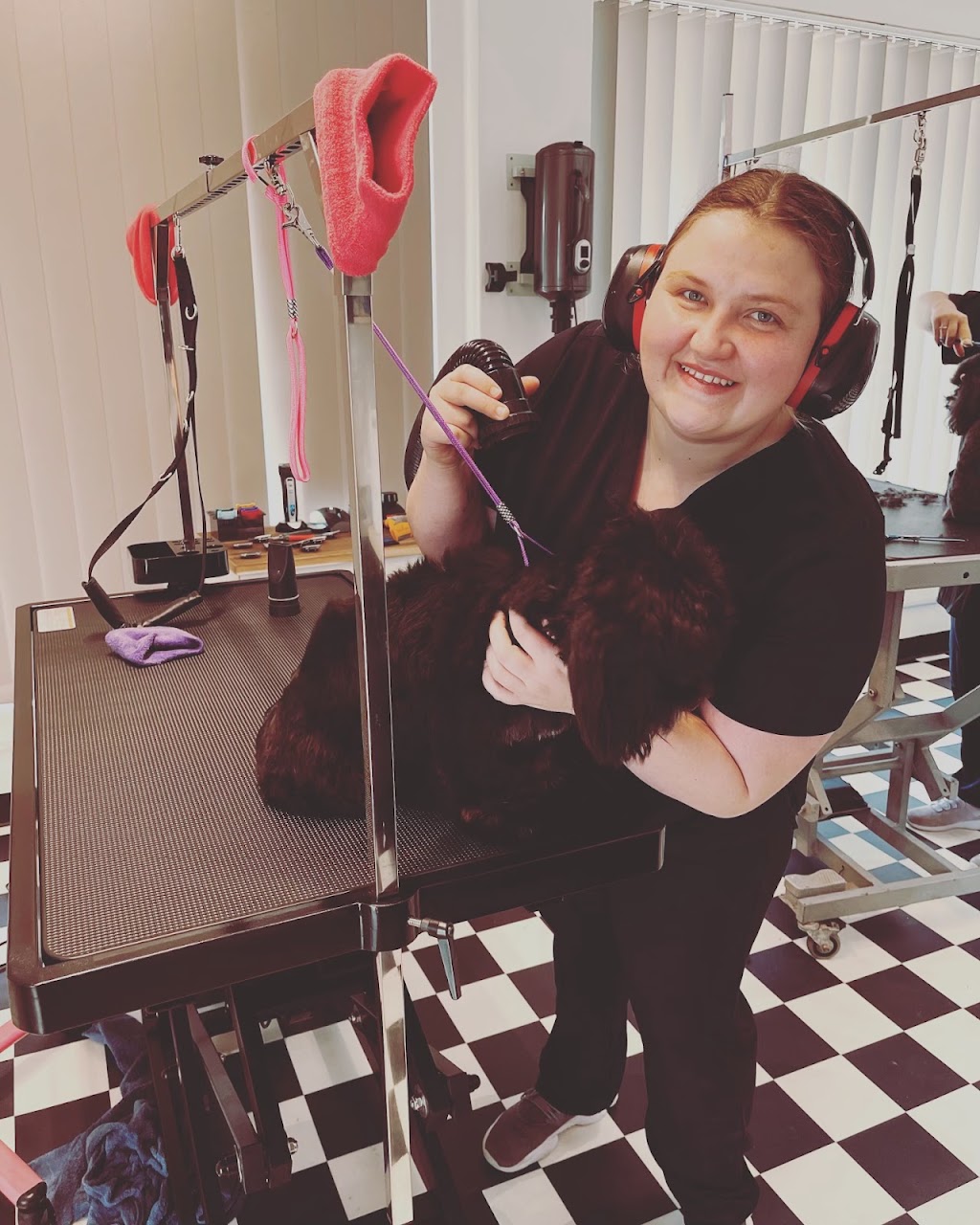 Heavenly Paws Dog Grooming & Washing | 4/78 Oxford St, Gateshead NSW 2290, Australia | Phone: 0421 278 688