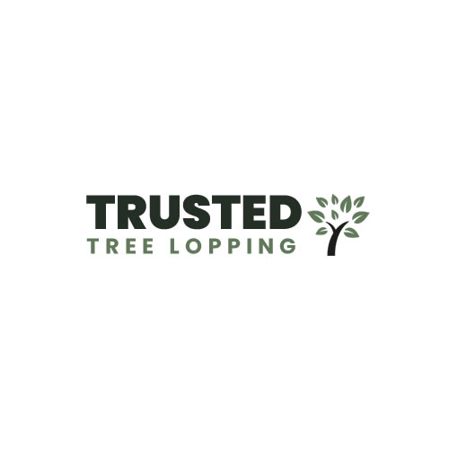 Trusted Tree Lopping Brisbane | home goods store | 332/241 Adelaide St, Brisbane City QLD 4000, Australia | 0400249099 OR +61 400 249 099