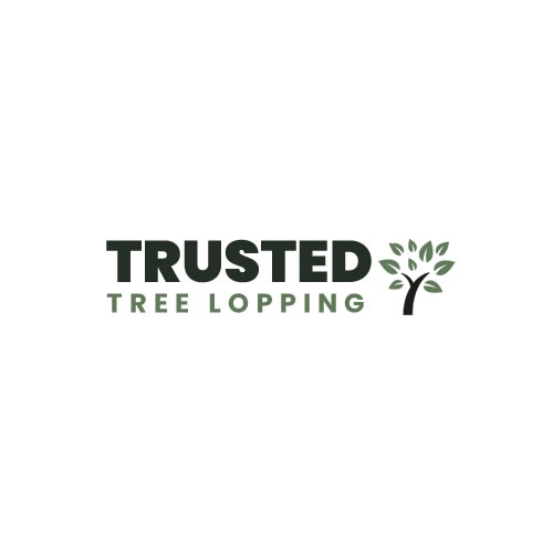 Trusted Tree Lopping Brisbane | 332/241 Adelaide St, Brisbane City QLD 4000, Australia | Phone: 0400 249 099