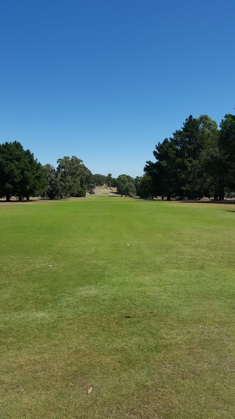 Belvoir Park Golf Club | 77 Belvoir Park Rd, Ravenswood VIC 3453, Australia | Phone: (03) 5435 3370