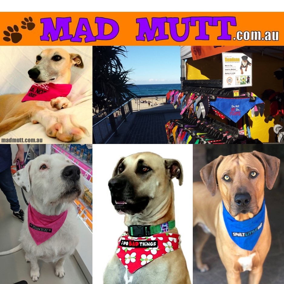 Mad Mutt | The, Esplanade, Surfers Paradise QLD 4216, Australia | Phone: 0412 720 292